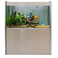 glass fish tank